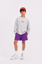SALTY X BO Longsleeve - Grey melange
